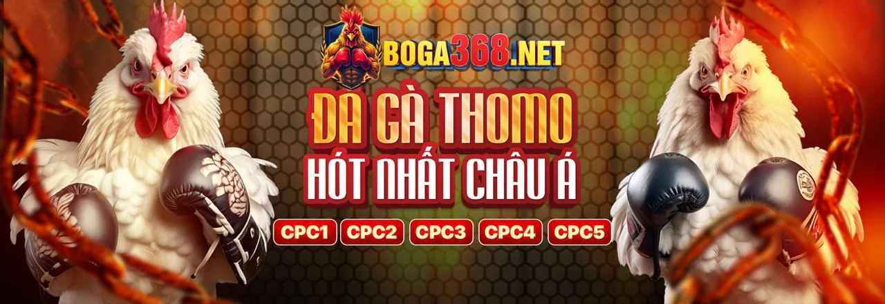 Hình ảnh tổng quan về việc lựa chọn sòng bạc trực tuyến tốt nhất và đánh giá 33win01 nhà cái
