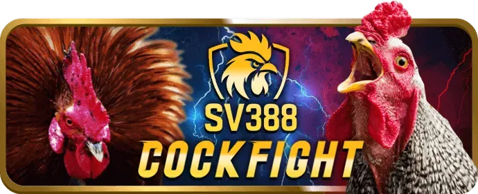 Minh họa cho phần Câu hỏi thường gặp của 33win01 nhà cái